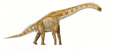 Giraffatitan