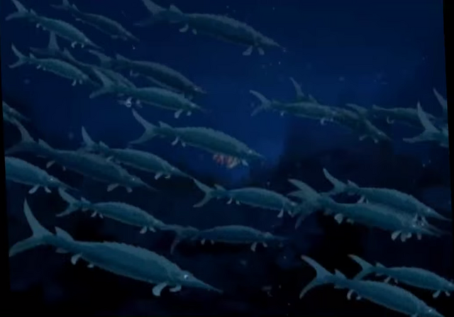 File:Protosphyraena TLBT.png