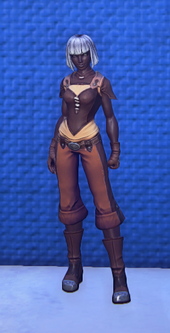 Travelers Attire Brown equipped