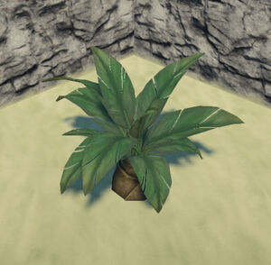 Jungle-palmetto