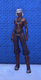 Travelers Attire Black equipped