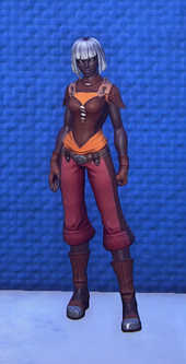 Travelers Attire Rose equipped