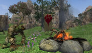 6 Kobold