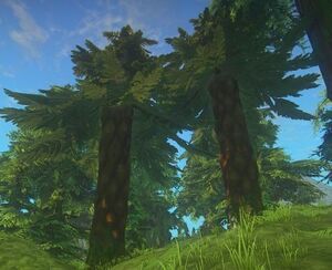 AncientRootstock