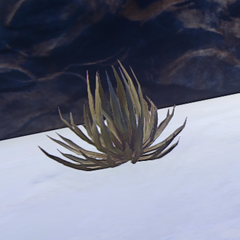 Desert Scrub prop placed