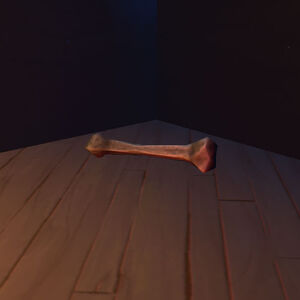 Human-femur