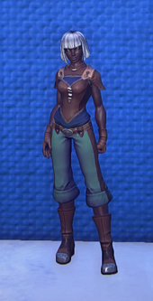Travelers Attire Emerald equipped