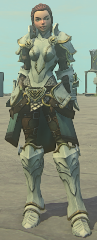 Avenging champion's aegis