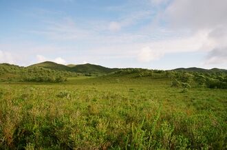 Morthog 01