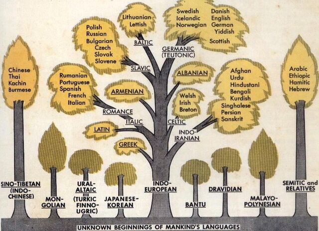 Fișier:Language 001 ofhnkxxqm.jpg