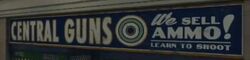 Central Guns.jpg