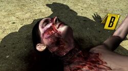 Lanoire homocide
