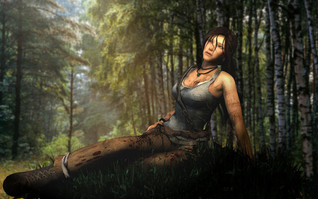 File:Tomb-raider-2013(2).jpeg