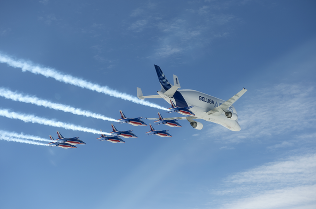 File:BelugA 5.png