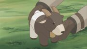 Goat01