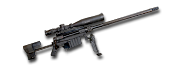 SIG-Sauer SSG 2000 G