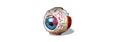 QHyenaEye
