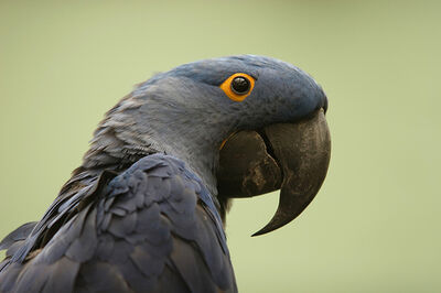 IMG 0977e