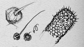 Prickletac 01.jpg