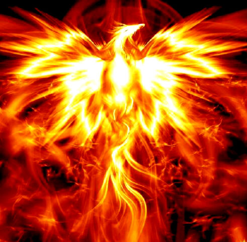 File:ArtMaster7 Supernova.jpg