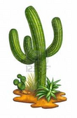 GaReN'SFoRNooBS Cactus