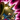 Armure Tranchante S2.png