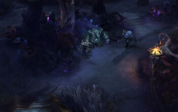 TT jungle.jpg