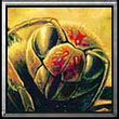 Psykolog shand pic