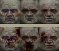 Thumbnail for version as of 11:00, November 28, 2010