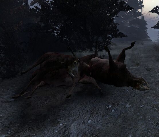 File:Dead bovine.jpg
