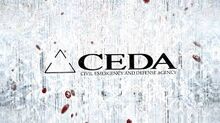 Ceda.jpg