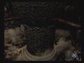 Thumbnail for version as of 23:56, March 30, 2010