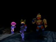 Koruchamber3