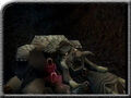 Thumbnail for version as of 20:59, December 17, 2010