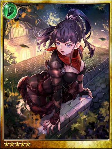 File:Novice Burglar Feena.png