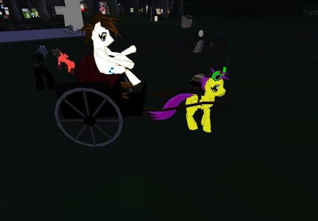 File:SecondLifepony.jpg