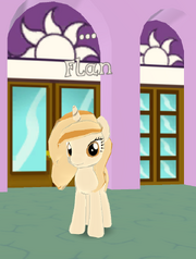 Flan