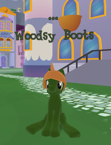 File:Woodsy Boots.png