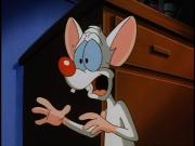 180px-Pinky the rat