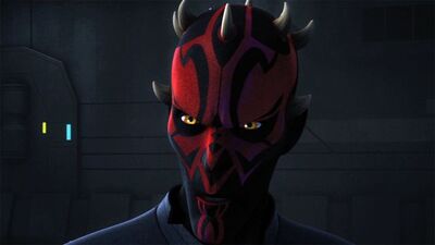 SWR 3 Maul