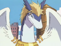 Hatless Shiron