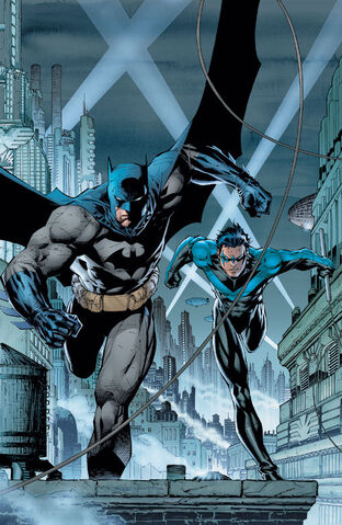 File:Batman and Nightwing.jpg