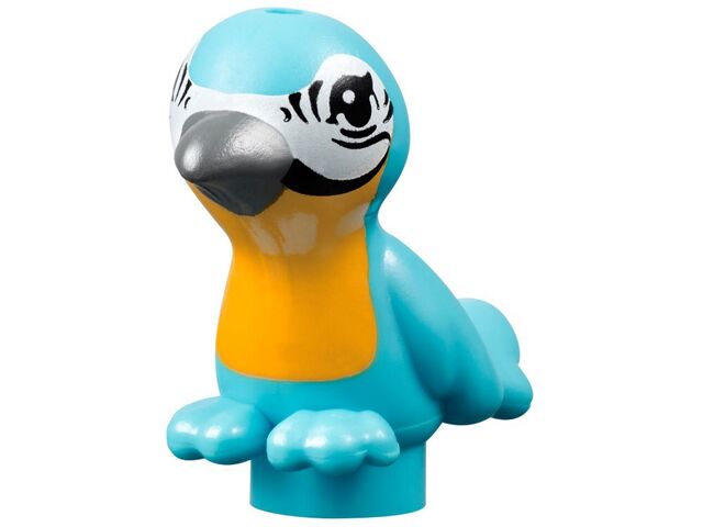 File:Macaw.jpeg