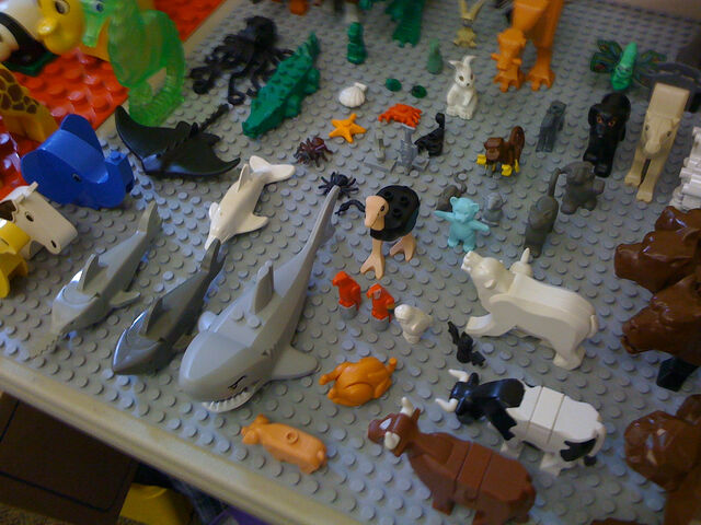 File:Animalassortment.jpg