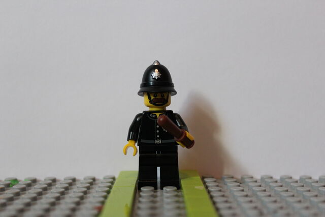 File:LFYConstable1.jpg