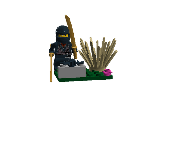 File:Epicninja.png