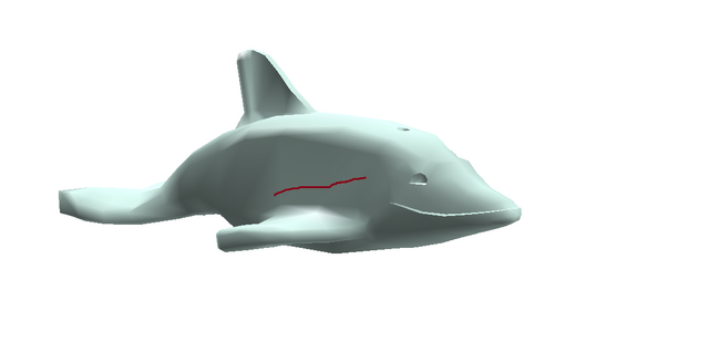 File:Bottlenose Dolphin.png