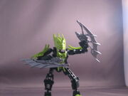 IMG 5921