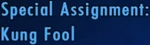 Special Assignment Kung Fool