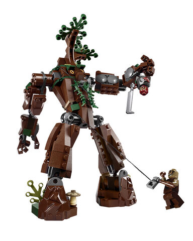 File:Ent 2.jpg